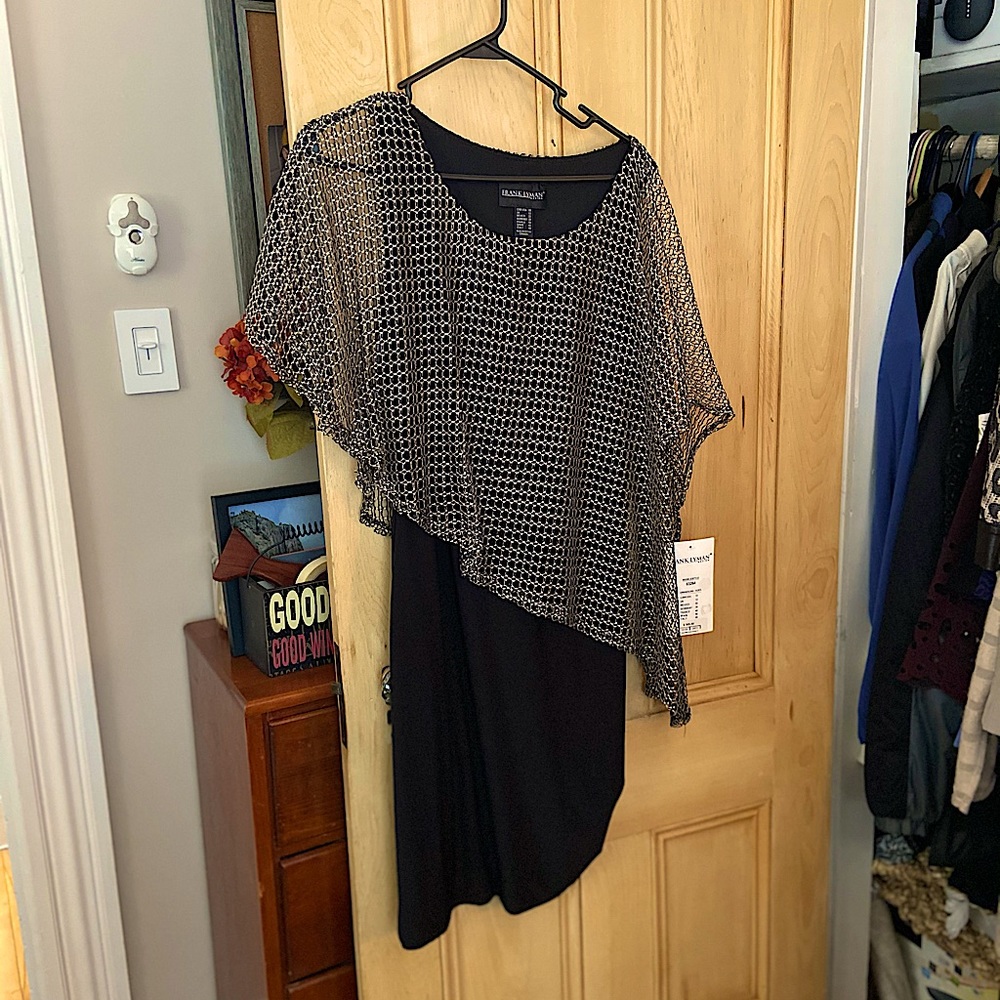 Beautiful Frank Lyman dress
